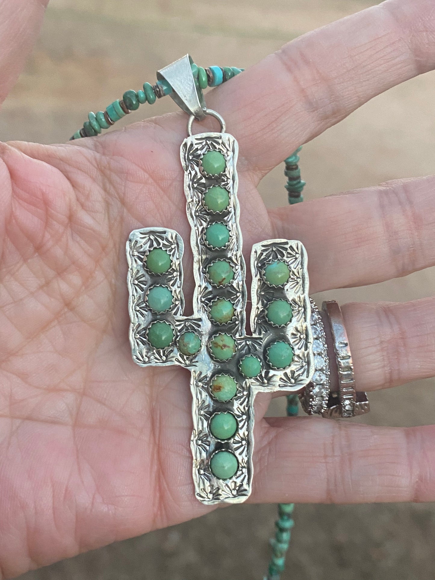 Navajo Royston Turquoise Saguaro Sterling Necklace