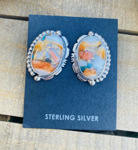 Native American Navajo Multi Stone and Sterling Silver Stud Earrings - Sterling Silver Diva