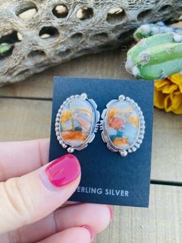 Native American Navajo Multi Stone and Sterling Silver Stud Earrings - Sterling Silver Diva